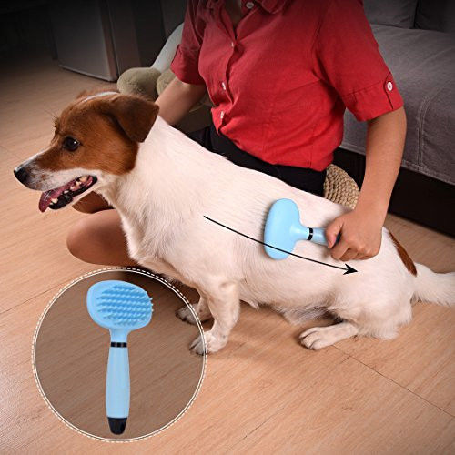 Eco - Friendly Waterproof Silicone Pet Supplies Pet Brush Comb Soft Pet Hair Cleaning Tool